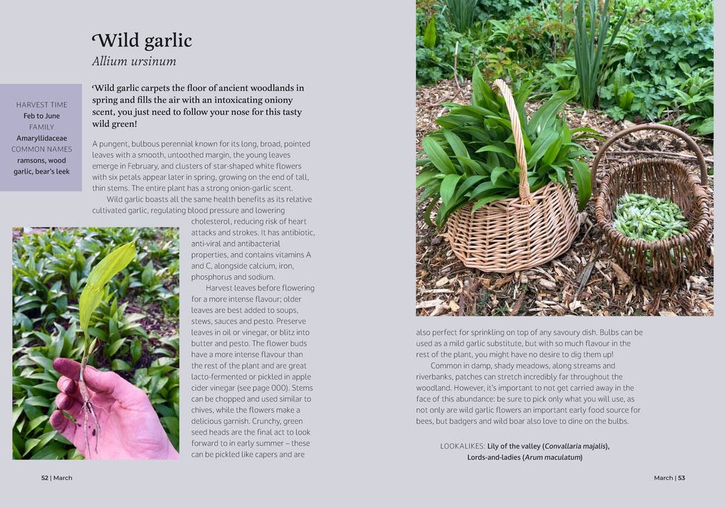 Foragers Almanac