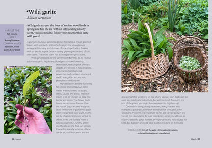 Foragers Almanac