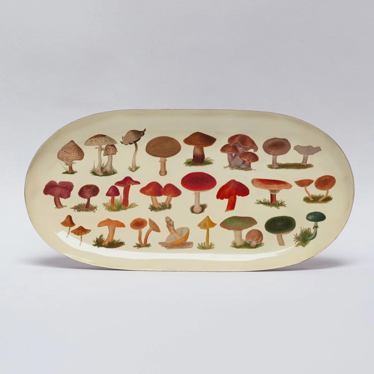 Oval Enamel Tray - Fungi