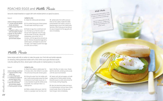 Foragers Kitchen Handbook