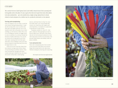 No Dig: Nurture Your Soil To Grow Better Veg