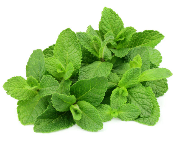 Mint (100g)