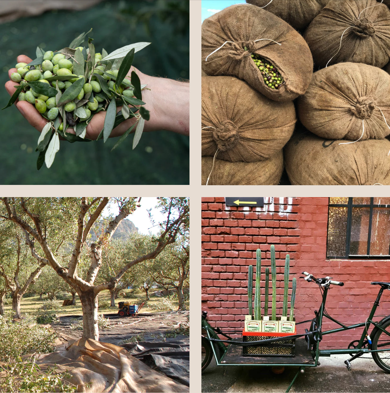 Honest Toil Extra Virgin Olive Oil - 500ml