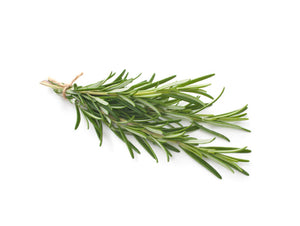 Rosemary (100g)