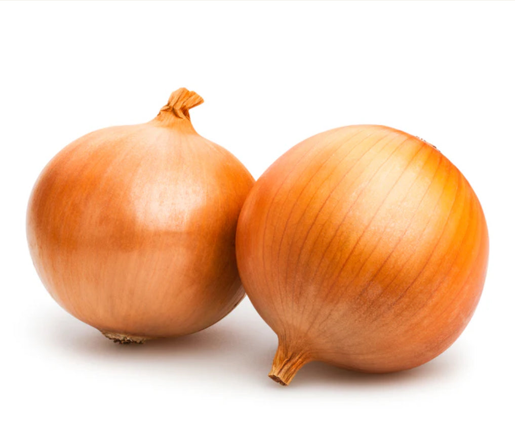 Large Spanish Onion