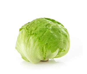 Iceberg Lettuce