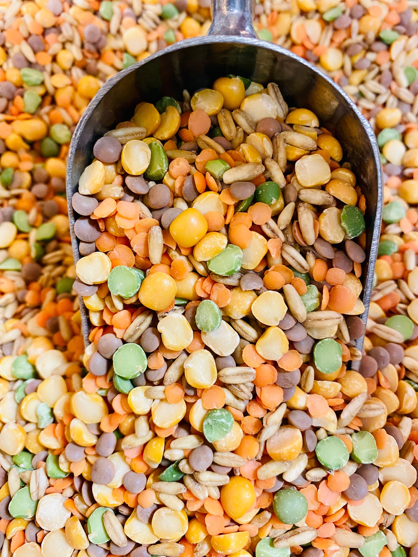 Organic Soup Mix - 100g