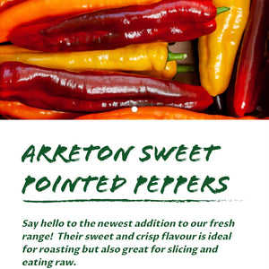 Arreton Sweet Pointy Pepper x 2