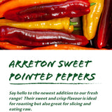 Arreton Sweet Pointy Pepper x 2