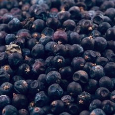 Dried Juniper Berries