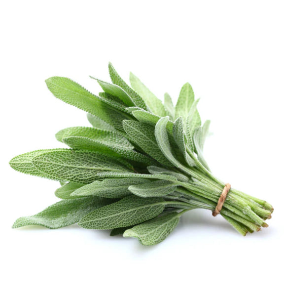 Sage (100g)