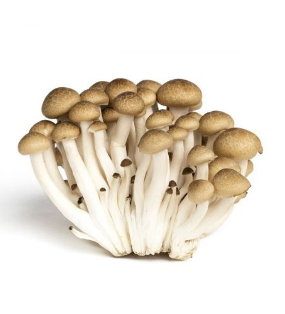 Brown Hon Shimeji Mushroom (150g)