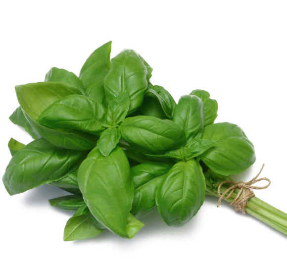 Basil (100g)