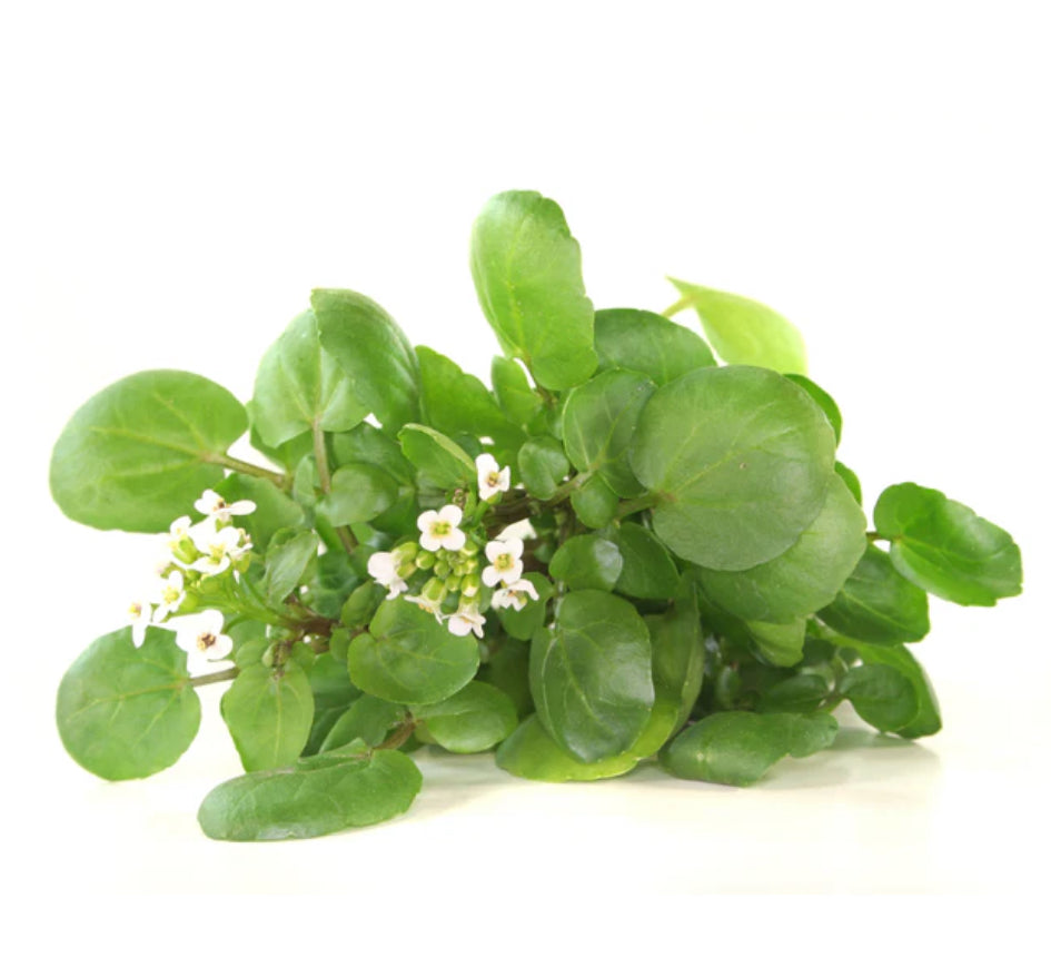 Local Organic Watercress (150g)