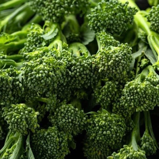 Tenderstem Broccoli