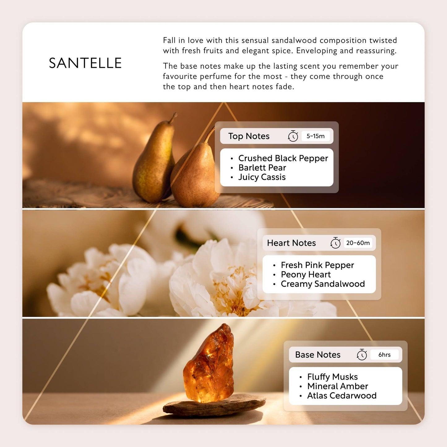 UpCircle Santelle Eau De Parfum 50ml