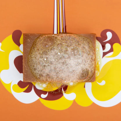 Solid Shower Gel - Essential Oil Collection - Ginger & Agave Nectarb