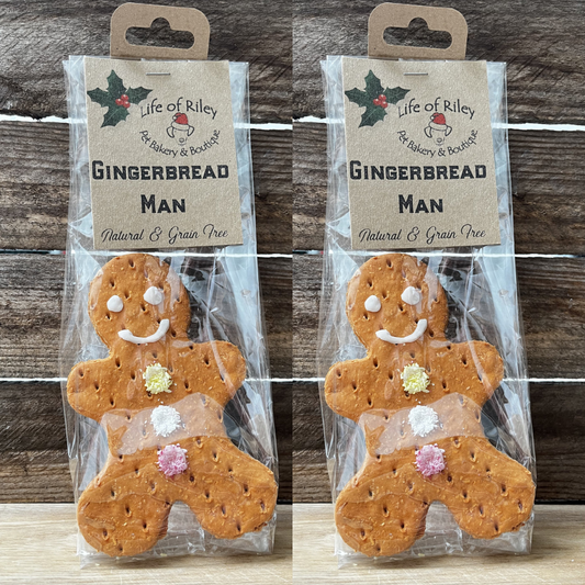 Festive Gingerbread Man Dog Treat