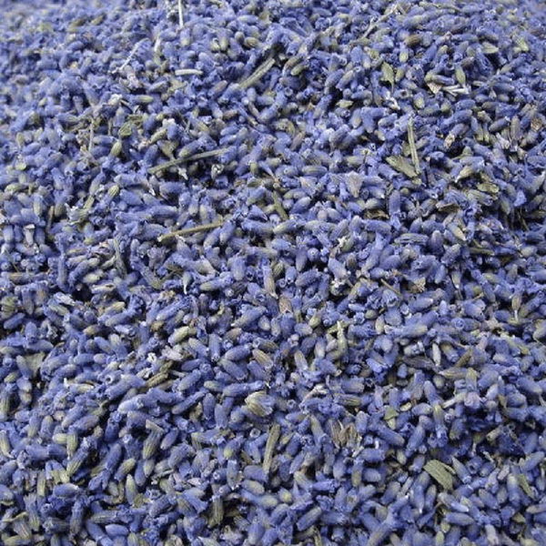 Lavender Flowers