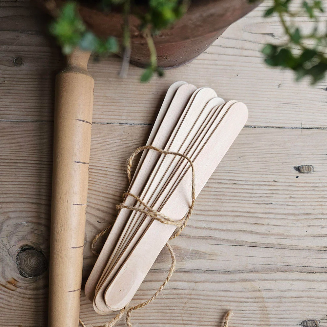 Pack Of 10 Natural Wood Plant Markers and Pencil
