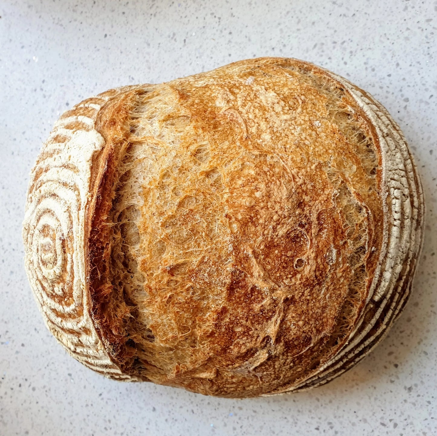 Peppina Bakery White Sourdough