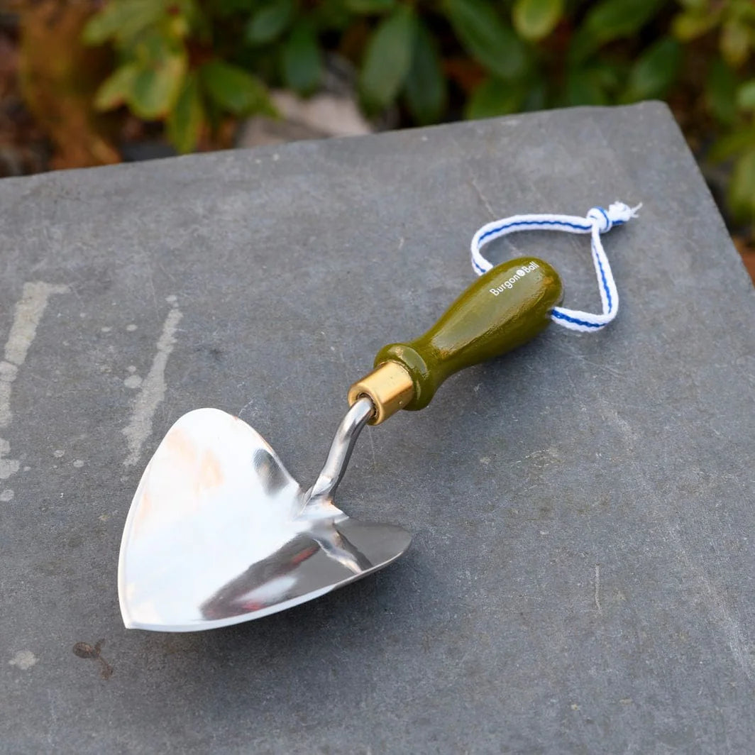 Wooden Handled Olive Planting Trowel - RHS Endorsed