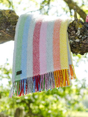 Tweedmill Multi Rainbow Stripe Wool Knee Rug or Small Blanket