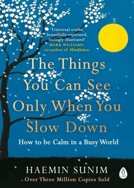 The Things You Can See Only When You Slow Down (paperback)