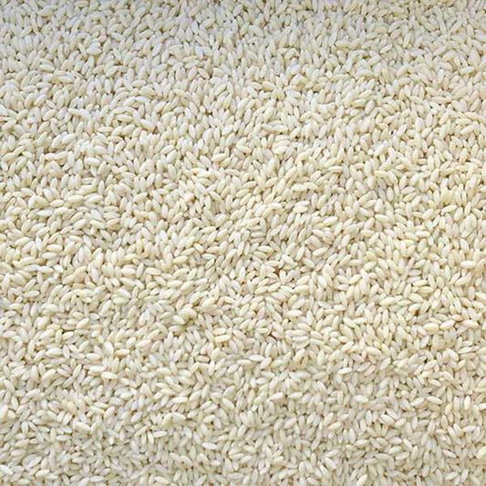 Organic Orzo - 100g