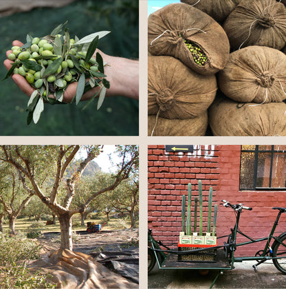 Honest Extra Virgin Olive Oil - 100g refill