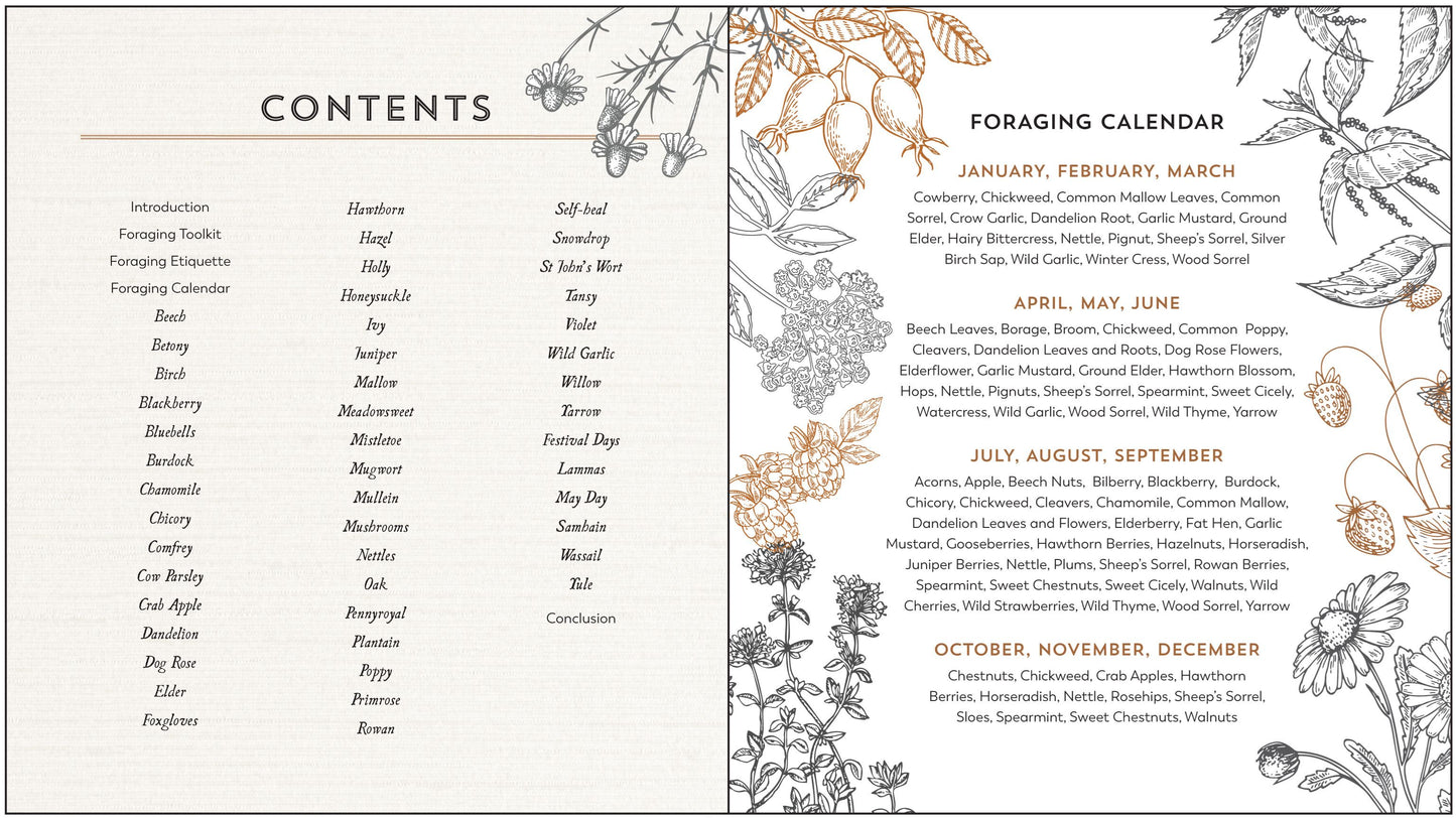 The Hedgerow Apothecary: Recipes, Remedies and Rituals