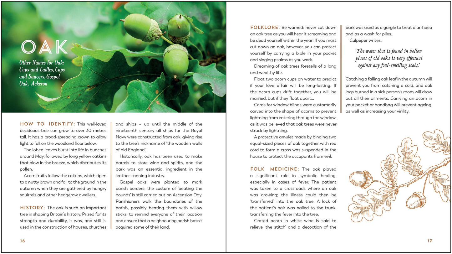 The Hedgerow Apothecary: Recipes, Remedies and Rituals