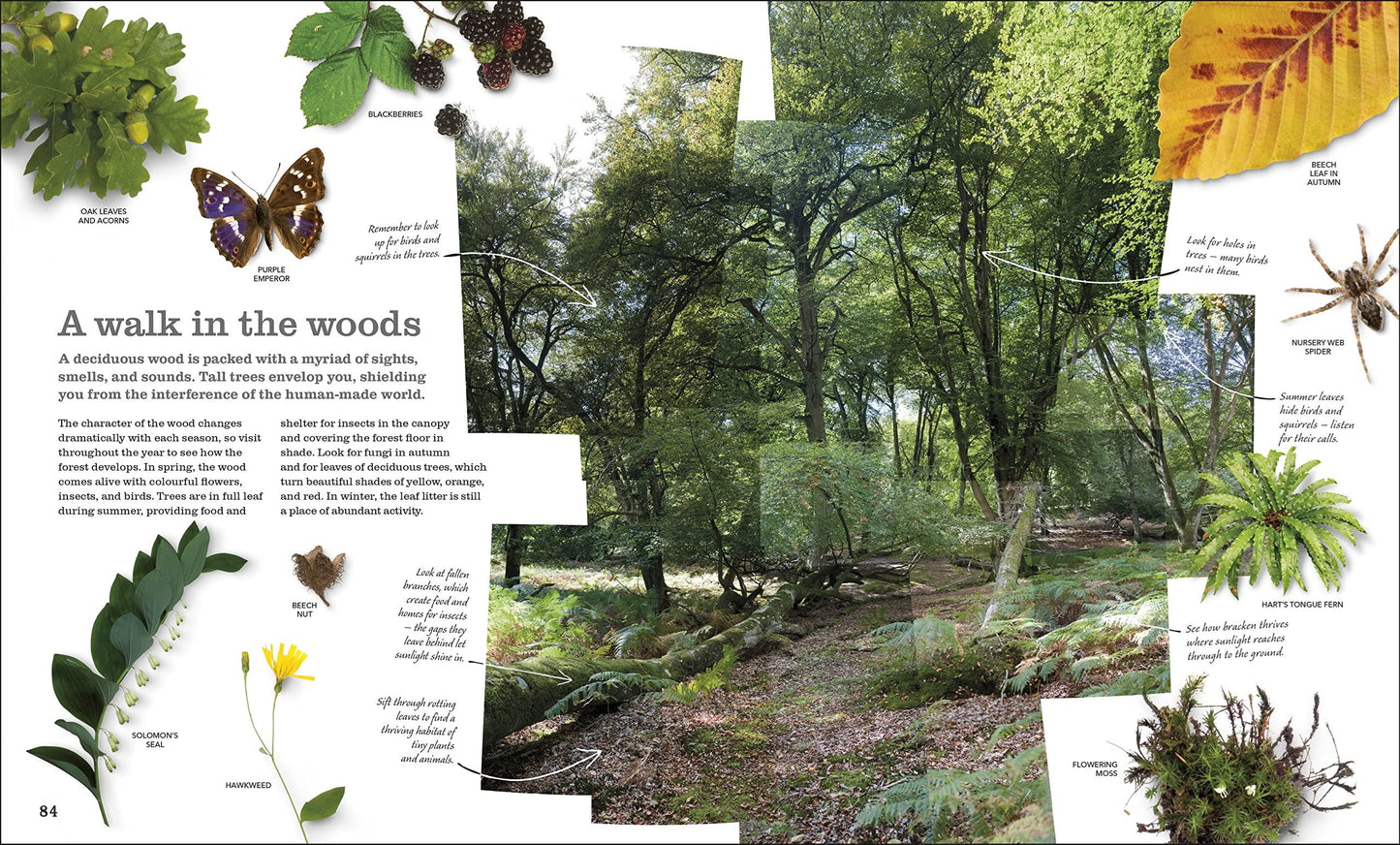 Chris Packham’s Nature Handbook