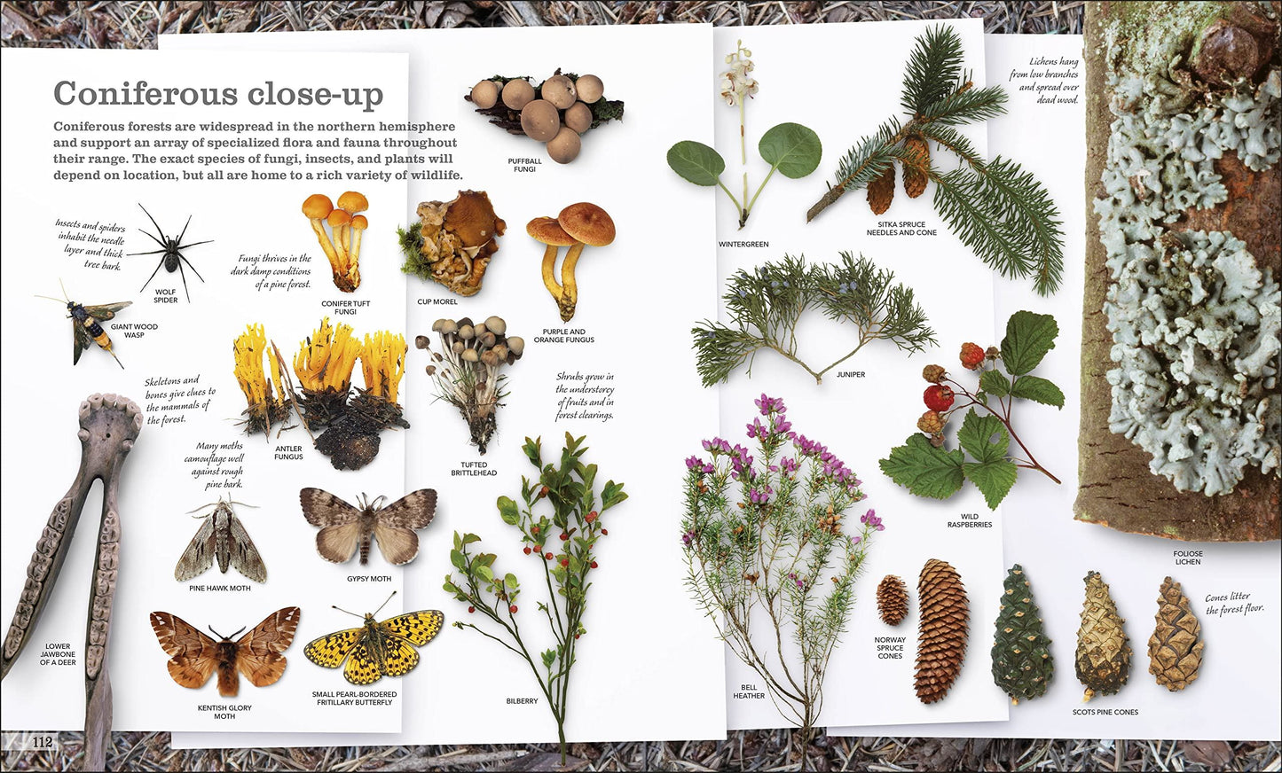 Chris Packham’s Nature Handbook
