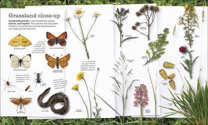 Chris Packham’s Nature Handbook