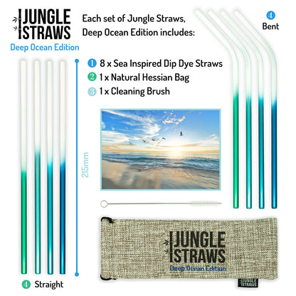 Stainless Steel Reusable Straw Set – Deep Ocean Edition – 8 Pack