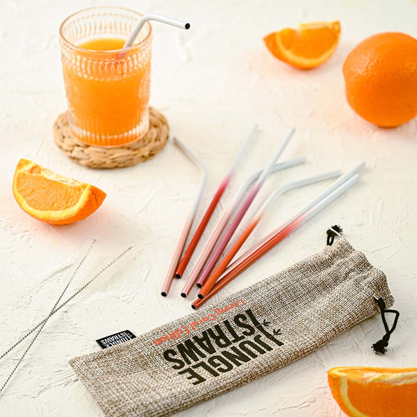 Stainless Steel Reusable Straw Set – Living Coral Edition – 8 Pack