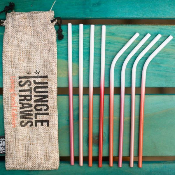 Stainless Steel Reusable Straw Set – Living Coral Edition – 8 Pack