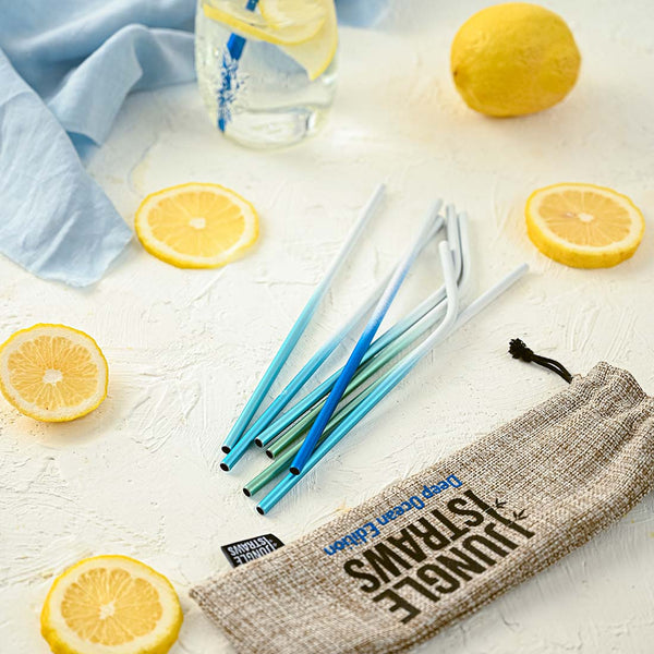 Stainless Steel Reusable Straw Set – Deep Ocean Edition – 8 Pack