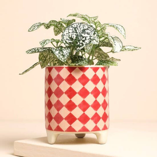 Pink and Red Checkerboard Mini Plant Pot