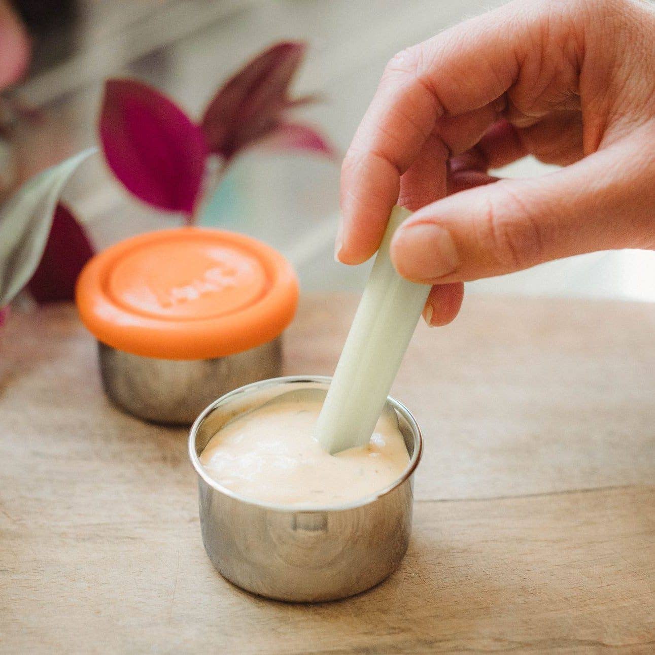 Elephant Box Seal & Go Leakproof Stainless Steel Dressing Pot Pair