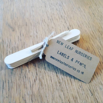 Pack Of 10 Natural Wood Plant Markers and Pencil