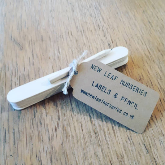 Pack Of 10 Natural Wood Plant Markers and Pencil