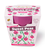Children's Grow Your Own Sweet Pea Growing Kit