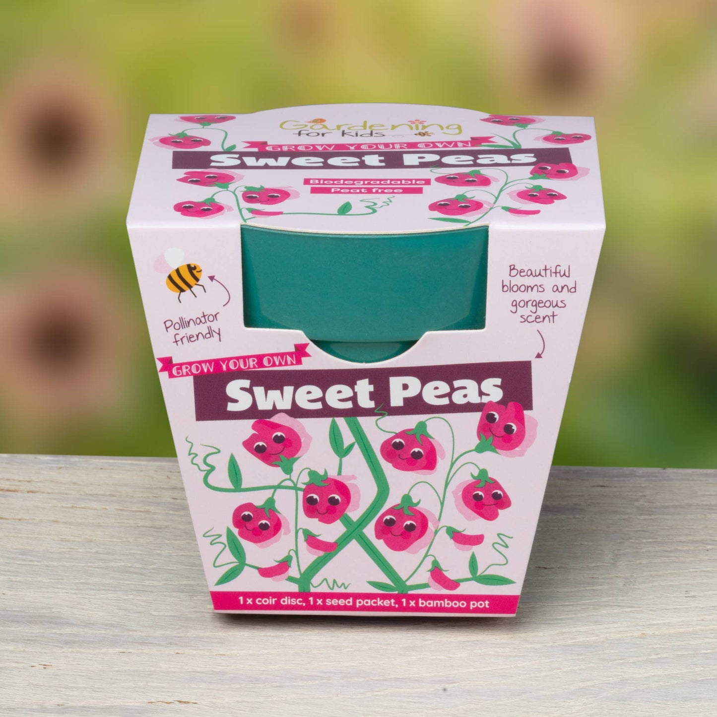 Children's Grow Your Own Sweet Pea Growing Kit