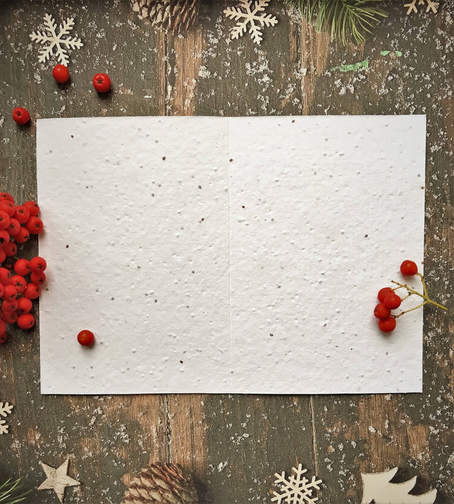 Morning Robin - Plantable Seeded Christmas Card