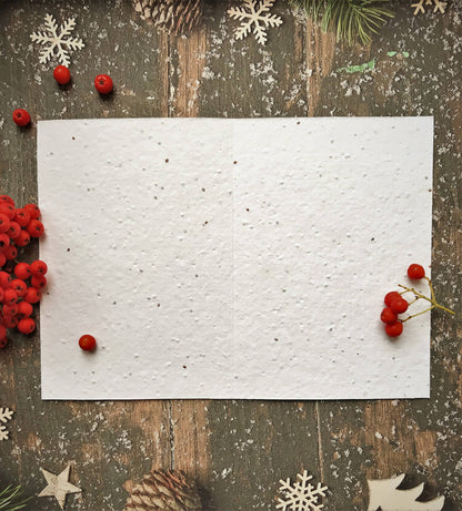 Morning Robin - Plantable Seeded Christmas Card