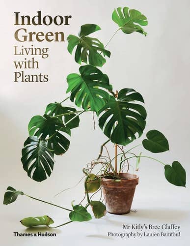 Indoor Green: Living with Plants (Paperback)