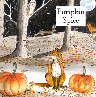 Box of 9 Scented Tealights - Pumpkin Spice