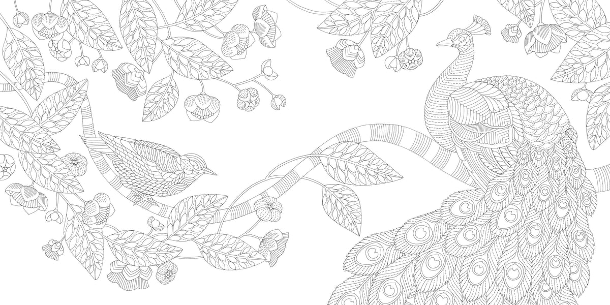 Millie Marotta's Woodland Wild - a Colouring Book Adventure